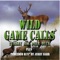 Cow Elk Game Call - Jerry Barr lyrics