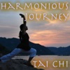 Tai-Chi - Leaves In the Wind