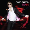 David Guetta/Chris Willis/Joachim Garraud/Fred Riesterer - Love Is Gone