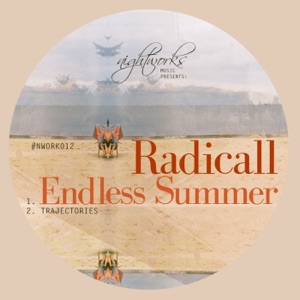 Endless Summer - Single