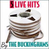 The Buckinghams - Hey Baby (They're Playin' Our Song)