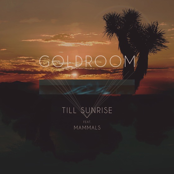 Cover artwork for Till Sunrise (feat. Mammals)