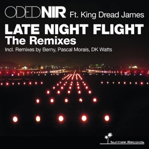 Late Night Flight the Remixes (feat. King Dread James) - EP
