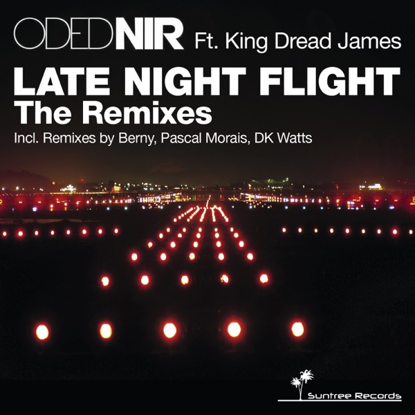 Late Night Flight the Remixes (feat. King Dread James) - EP