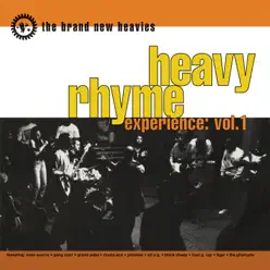 Heavy Rhyme Experience, Vol. 1 - The Brand New Heavies