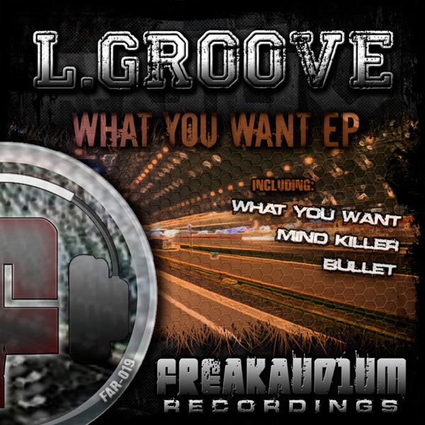 What You Want - Single