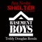 Shelter (2014 Remix) - Single
