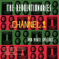 2 Bad Bull Inna Dub — The Revolutionaries
