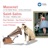 Le Cid (ballet music): IV. Aubade