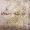 Orange Blossom - Ya Sidi