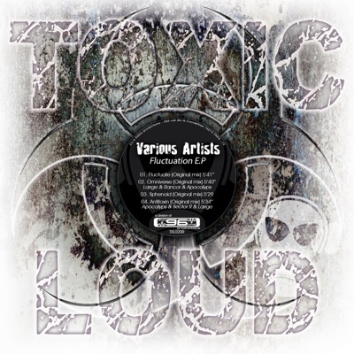 Fluctuation - EP