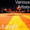 Jungle (feat. A.O.K & Cee Zee) - Vonte Tha Kid lyrics
