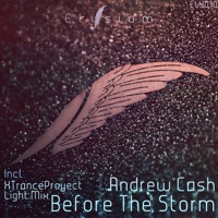 Before the Storm - Single - Andrew Cash
