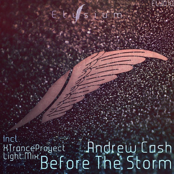 Before the Storm - Single