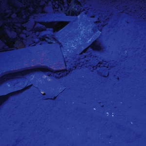 Subsequent Materials (2006-2012)