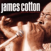 James Cotton - River's Invitation