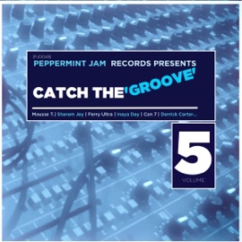 Saturday ((Mousse T.'s House Edit) [feat. Monie Love]) Cunnie Williams