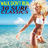 Walk Don't Run 30 Surf Rock Classics - Artisti Vari
