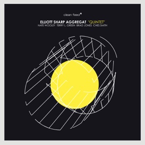 Quintet (feat. Nate Wooley, Terry L. Green, Brad Jones & Ches Smith)