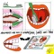 Amore nel traffico (Cane) - Siva lyrics