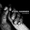 Julia Wolfe: Steel Hammer - Bang on a Can All-Stars & Trio Mediæval