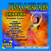Pistas Musicales - Shakira - Grandes Éxitos (Karaoke)
