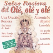 Salve Rociera artwork