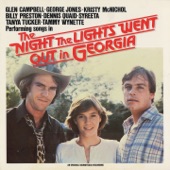 The Night the Lights Went out in Georgia artwork