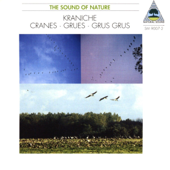 Natural Sound: Kraniche / Cranes - Walter Tilgner