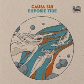 Causa Sui - Boozehound