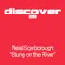 Stung On River (Sean Tyas Remix) song reviews