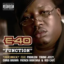Function (Remix) [feat. Probelm, Young Jeezy, Chris Brown, French Montana & Red Café] - Single - E-40