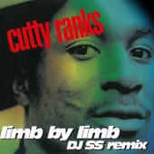 Limb by Limb (Original Ragga Mix) artwork