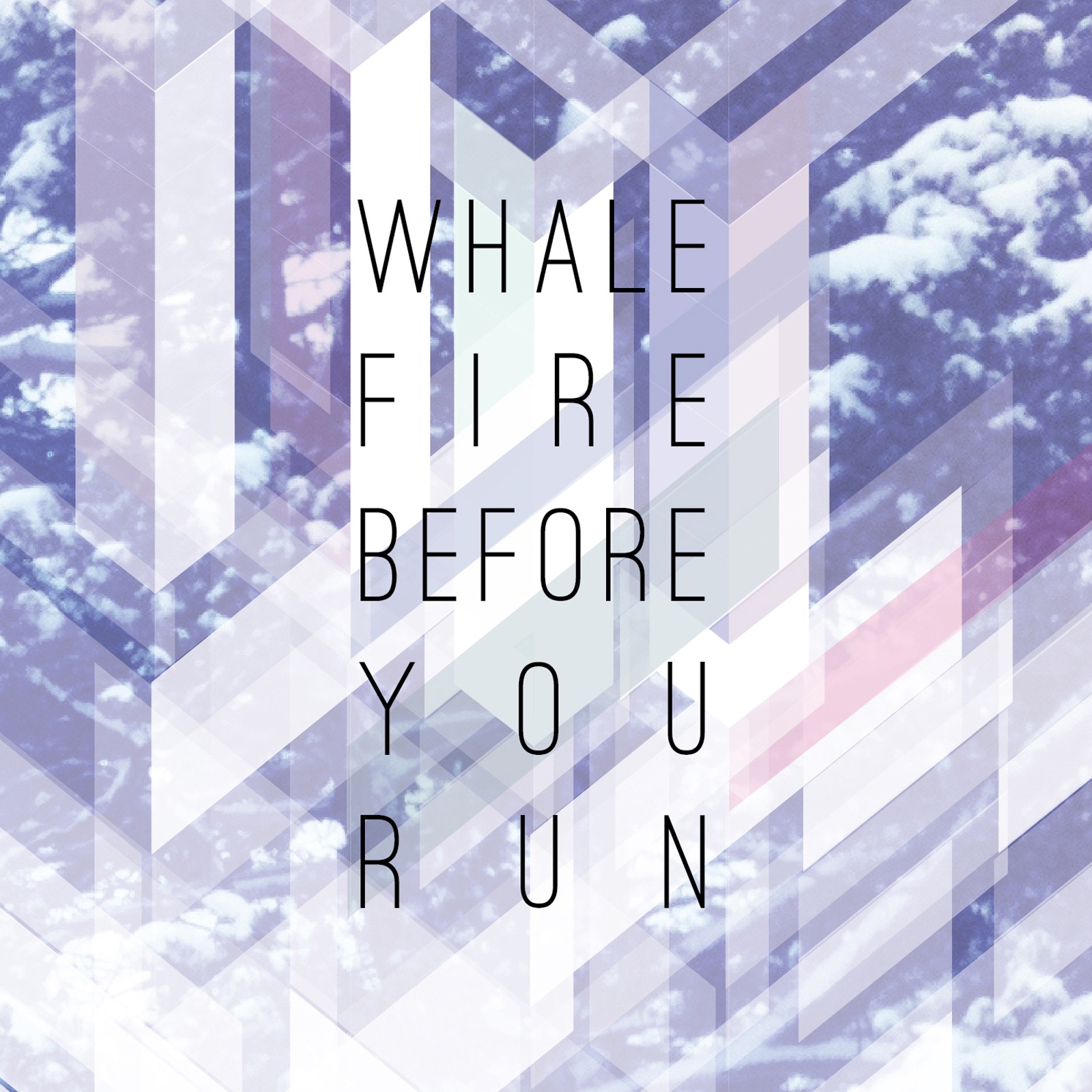 Before You Run