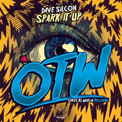 Spark It Up - Single