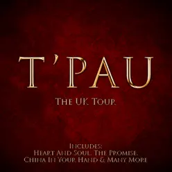 The UK Tour - T'pau