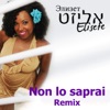 Non Lo Saprai (Remix) - Single