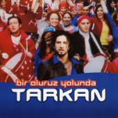 Bir Oluruz Yolunda (Version 2) song art