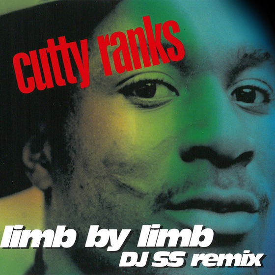 Cover artwork for Limb by Limb (Original Ragga Mix)