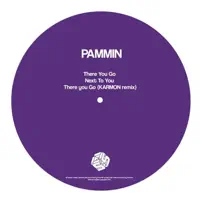 There You Go (Karmon Remix) — Pammin