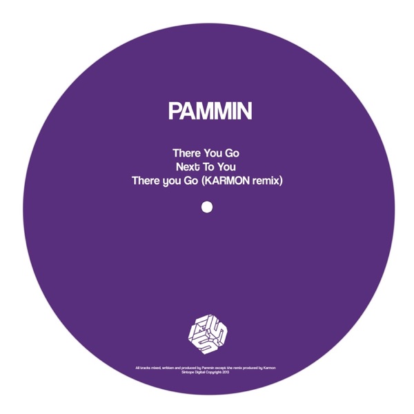 There You Go - Single