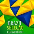 Desafinado