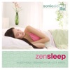 Zen Sleep (feat. Dr. Lee R. Bartel)