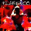 FLAMENCO GUITAR - Bruno Gennaro