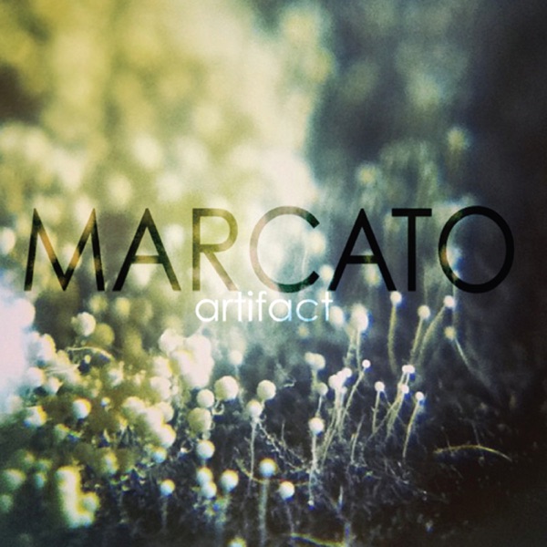 Artifact - EP