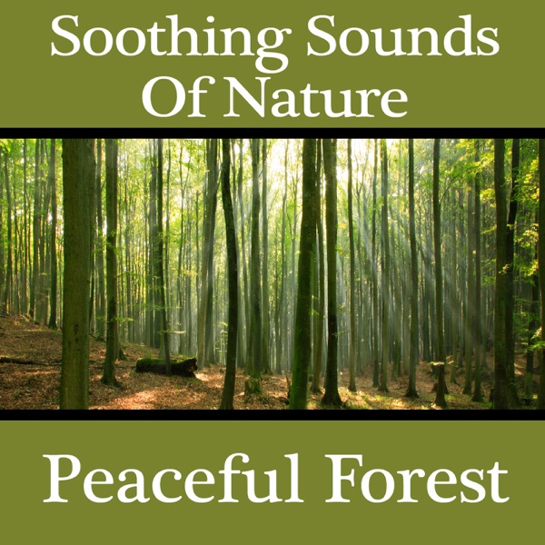 Soothing Sounds of Nature: Peaceful Forest