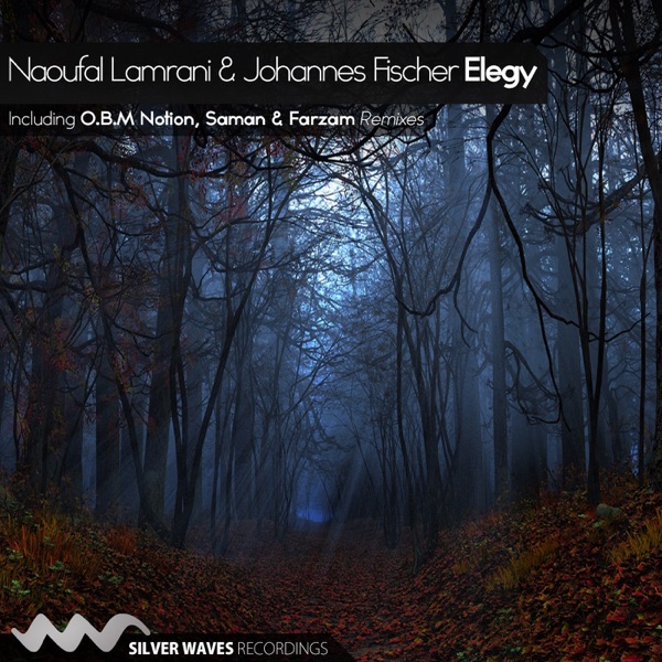 Elegy - Single