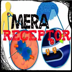 Receptor - Single - Mera Receptor - Single - Mera