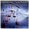 Healing Sounds: Tibetan Healing Sounds - Single