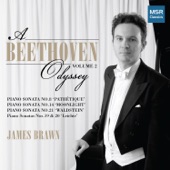 James Brawn - Piano Sonata No. 14 in C-sharp minor, Op.27 No.2 "Moonlight": II. Allegretto & Trio